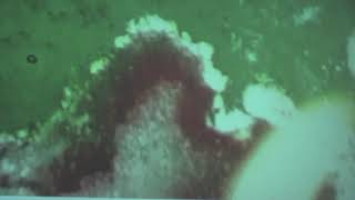 Batus - Sunday Morning Trip To Mcdonalds Jam, Acid Post-Disco Techno
