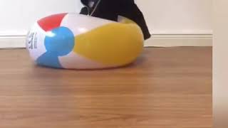 Beachball Crush & Pop