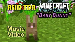 Watch Parry Gripp Baby Bunny video