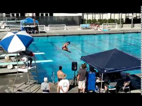 Dive updates and skill training