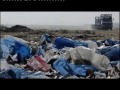 Mer de plastique