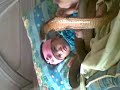 Cinta Bayi 7 Bulan Di Bagan Batam Bermain Dengan Ular images Cinta Bayi 7 Bulan Di Bagan Batam Bermain Dengan Ular