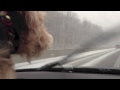 797 wipers