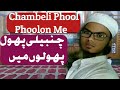 Chambeli phool phoolon me Nazam #please#subscribe#Youtube#channel