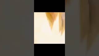 Goten Ssj2 & Future Trunks Rage Mode Ssj2 Vs Caulifla Ssj2 & Lssj Kale