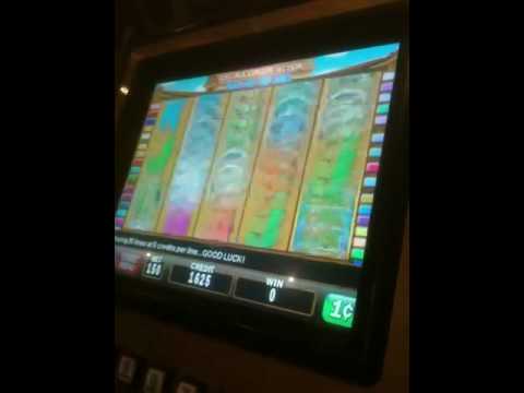 Amy poker Holdem miniclip