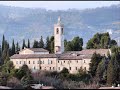ascoli regina