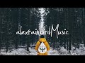 Indie/Rock/Alternative Compilation - January 2020 (1-Hour Playlist)