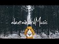 Indie/Rock/Alternative Compilation - January 2020 (1-Hour Playlist)