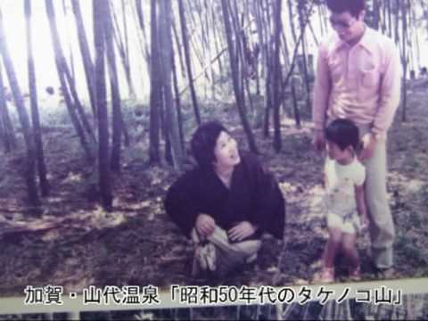 加賀・山代温泉「昭和５０年代のタケノコ山の思い出」