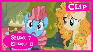 My Little Ponyfim - Mrs Cake Continue Story About Apple Parents The Perfect Pear