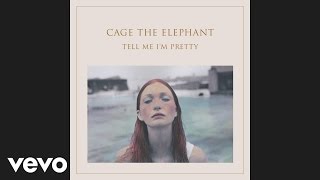 Watch Cage The Elephant Too Late To Say Goodbye video
