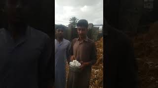 Asmani Baraf Ka Azab Olay Yaa Allah Moaf Krdy Or Oper Sy Crona Virus