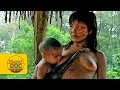 Living in the jungle. Sanema Tribe