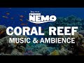 Finding Nemo | Disney Music & Ambience - Coral Reef Underwater Sounds for Sleep, Study, Relaxation