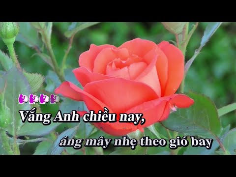 Karaoke 999 Đóa Hồng Beat Tone Nữ