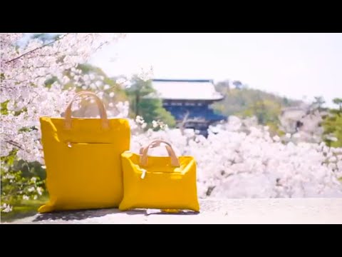 京都 仁和寺の桜(4K)カエデ・エリシア京都 Wrinkle Cerberus 3 face [caede|KYOTO Ninnaji Cherry Blossoms 4K movie]