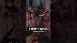 Çok Güzel Kürtçe Whatsapp Durum Videosu Kısa 108