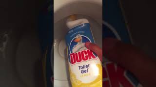 Canard Wc