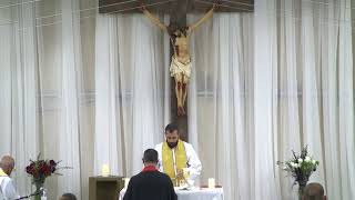 4th Sunday of the Cross/ 7th Elijah - Saturday Vigil Mass - Fr. Daniel Shaba