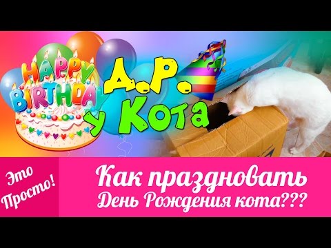 Красивые девизы семьи для герба, спортивных соревнований, по жизни Конкурсы для выкупа невесты