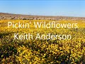 Pickin' Wildflowers-Keith Anderson....LYRICS!