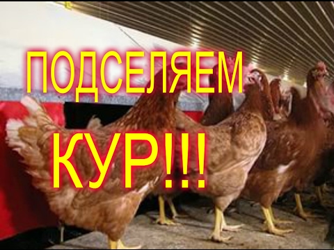 Gallery как подсадить новы Gallery как подсадить новы