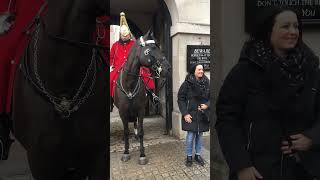 Lady Rubbing Royal Guard Horse Nose And Rein