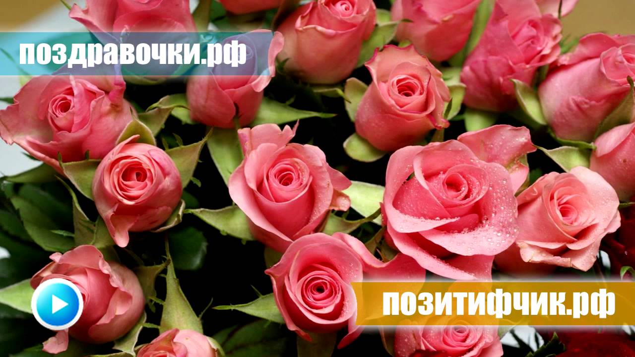Как понять смысл пословицы : "Семь раз отмерь, один раз отрежь"? Женские половые органы. Матка Гомеопатия. и все что с ней