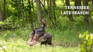 10 YARDS - To Shoot or Not to Shoot?