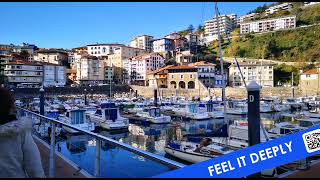 Txakoli And Pintxos In The Port Of Mutriku