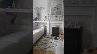 Rabbit Being Naughty