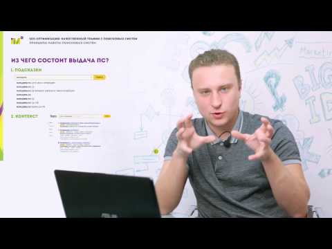 SEO сайта для начинающих. Видеоурок № 1. Основы и принципы. SEO сайта для начинающих. Видеоурок № 1. Основы и принципы.