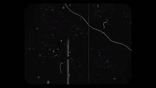 Mickeys Normal Day Mouse.avi Remake