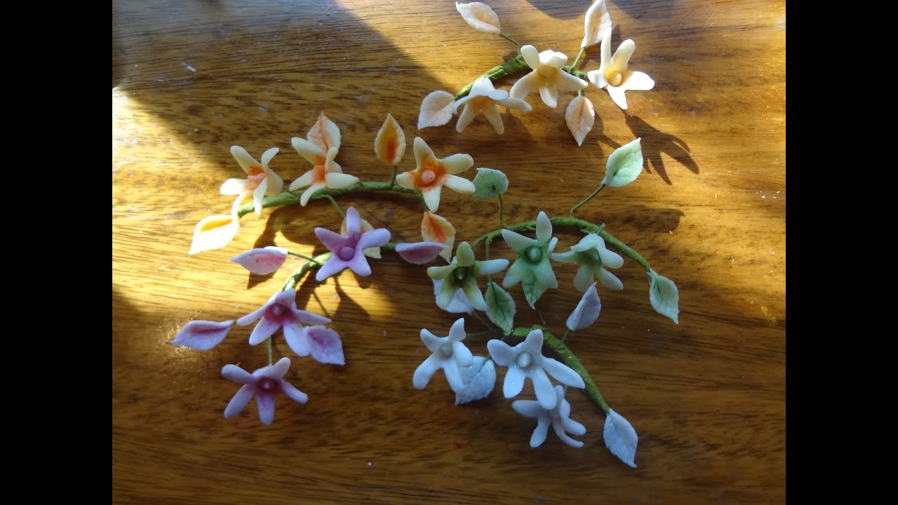 Lydia Flowers Lydia Flowers