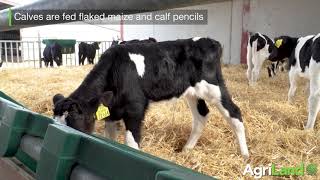 Teagasc 绿色英亩小牛养殖户:Peter O’Hanrahan
