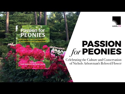Passion for Peonies