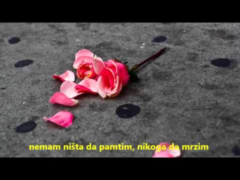 Разбитый цветок фото Разбитый цветок фото