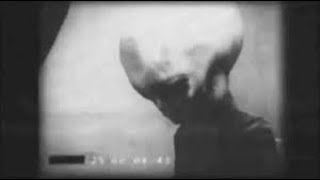 Dertli Uzaylı - Mis Tiky