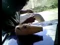 Pasang Scotlight