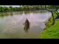 Mancing Ikan Nila Dan Kakap Kiloan Disedati Sidoarjo images Mancing Ikan Nila Dan Kakap Kiloan Disedati Sidoarjo