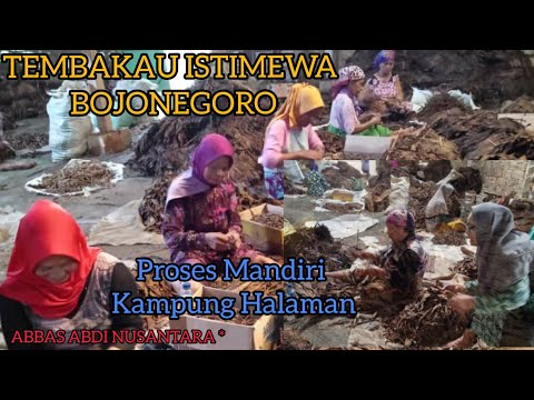 BOJONEGORO SPECIAL TOBACCO International Cigars Independent Process Hometown