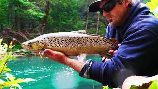 Dave Scadden's Dragonfly XT2. Hardcores Only Need Apply... Hot Stuff!!!