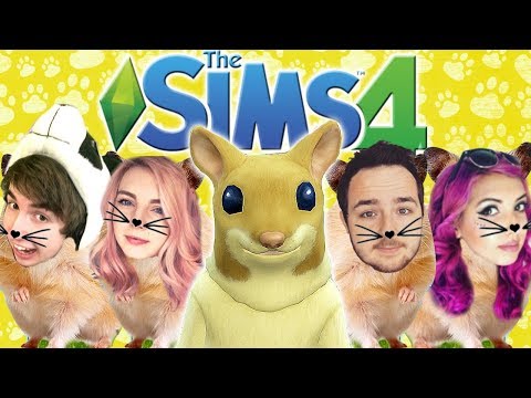 Rat Seazon Video