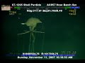 Giant "Long Arm" Squid Live