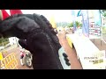 Campeonato de España de Enduro "Puig Reig-2013" (BY DEIVID)