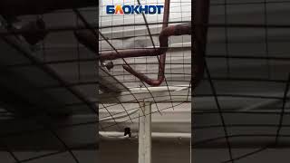 Видео Неизвестные разгромили «Пятёрочку» в торговом центре в новой части Волгодонска от Блокнот Волгодонск, улица Карла Маркса, Волгодонск, Россия