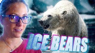 Can Polar Bears Survive Without Sea Ice?