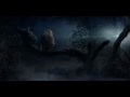 Beyond Wonderland 2012 Official Trailer
