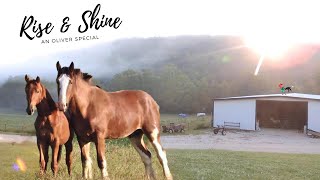 A Beautiful Morning With Our Horses Oliver And Champ!